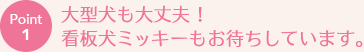 Point1 大型犬も大丈夫