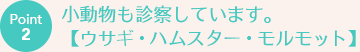 Point2 小動物も診察しています